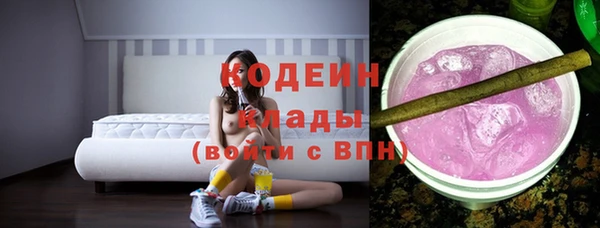 хмурый Касимов