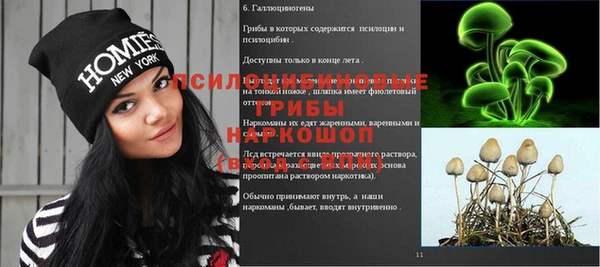 хмурый Касимов