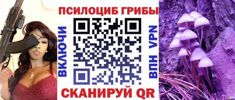 Псилоцибиновые грибы Psilocybe  Купить  Луховицы 